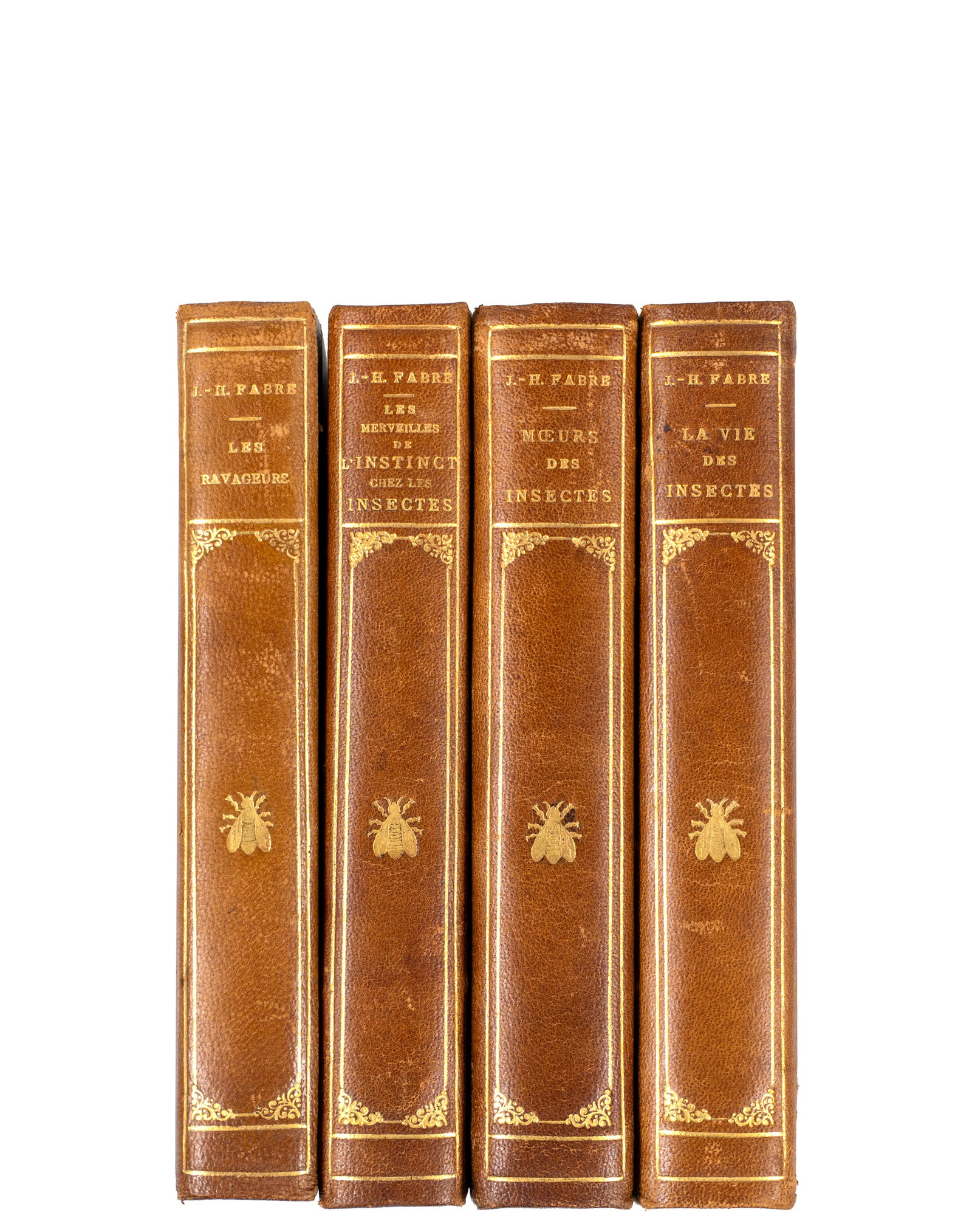 Fabre, Jean-Henri - Set of 4 books on natural sciences - From 1870 to 1913: Fabre, Jean-Henri (1823-1915) France Lot de 4 ouvrages en sciences naturelles (From 1870 to 1913) Fabre, Jean-Henri, La vie des insectes (1910), Les merveilles de l'instinct chez les insectes (1913),