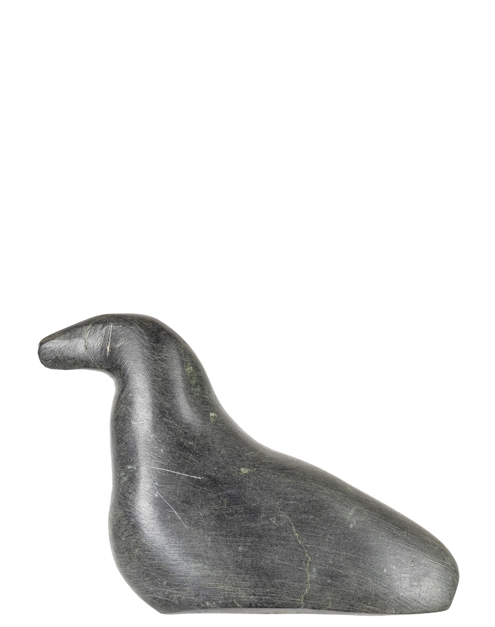 Iquliq, Tuna - Duck - 2