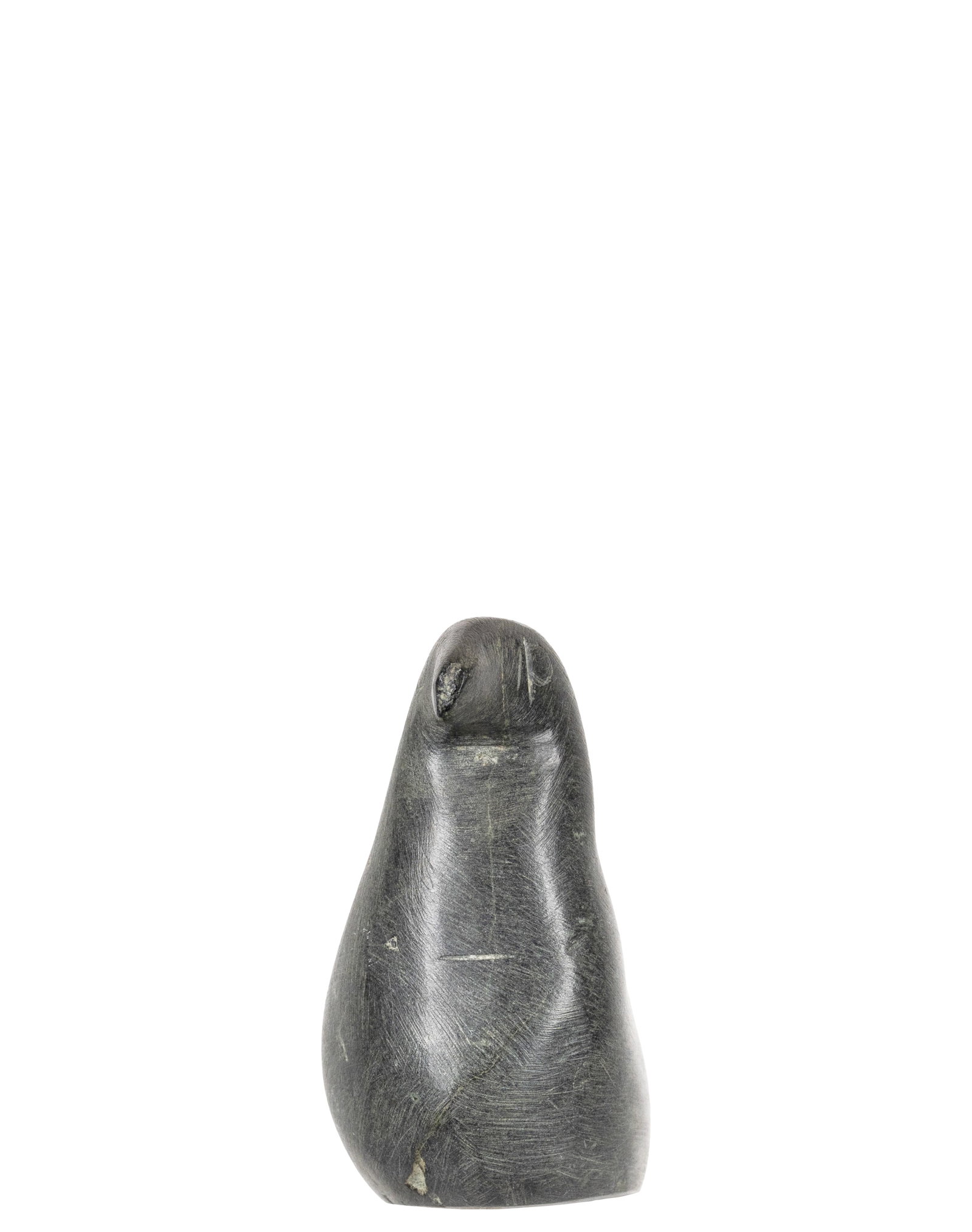 Iquliq, Tuna - Duck - 3