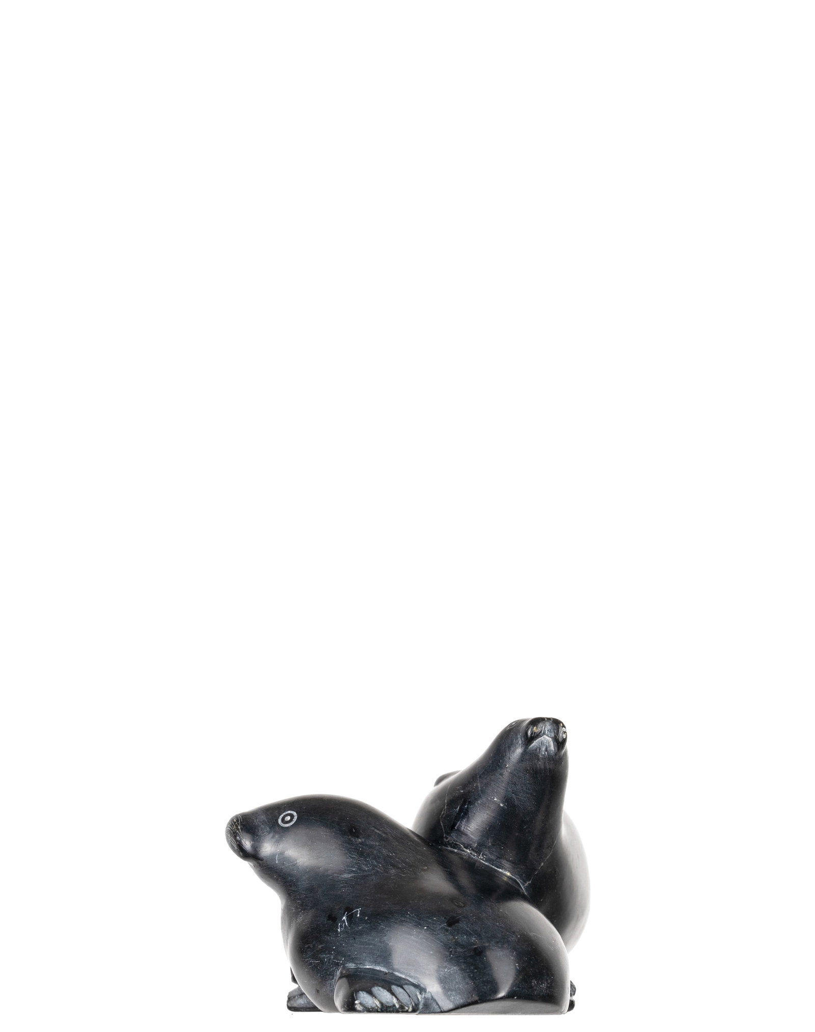 Non identifié - Seal family - 2