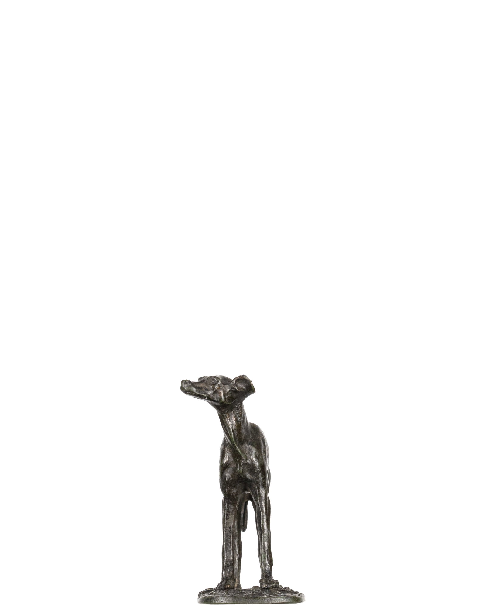 Inconnu / Unknown - Dog - 3