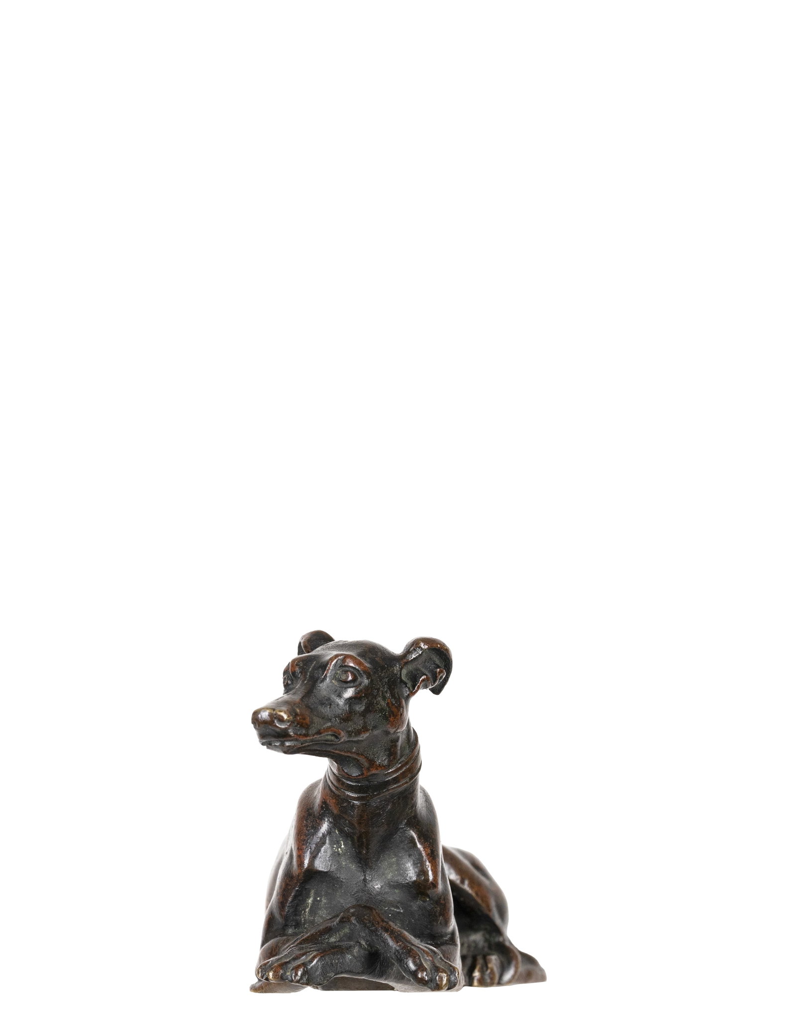Inconnu / Unknown - Dog at rest - 2