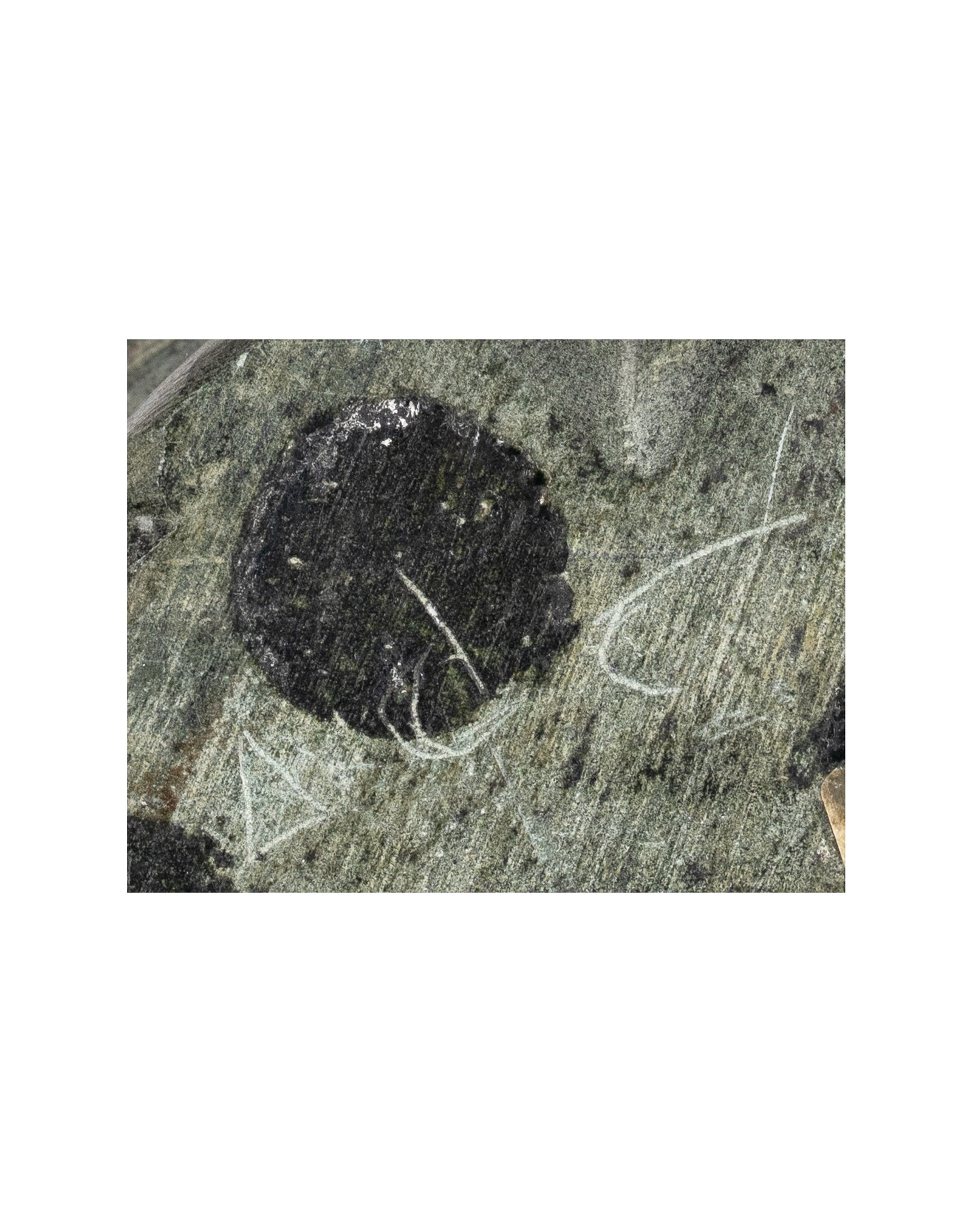 Iquliq, Tuna - Mother and Child - 5