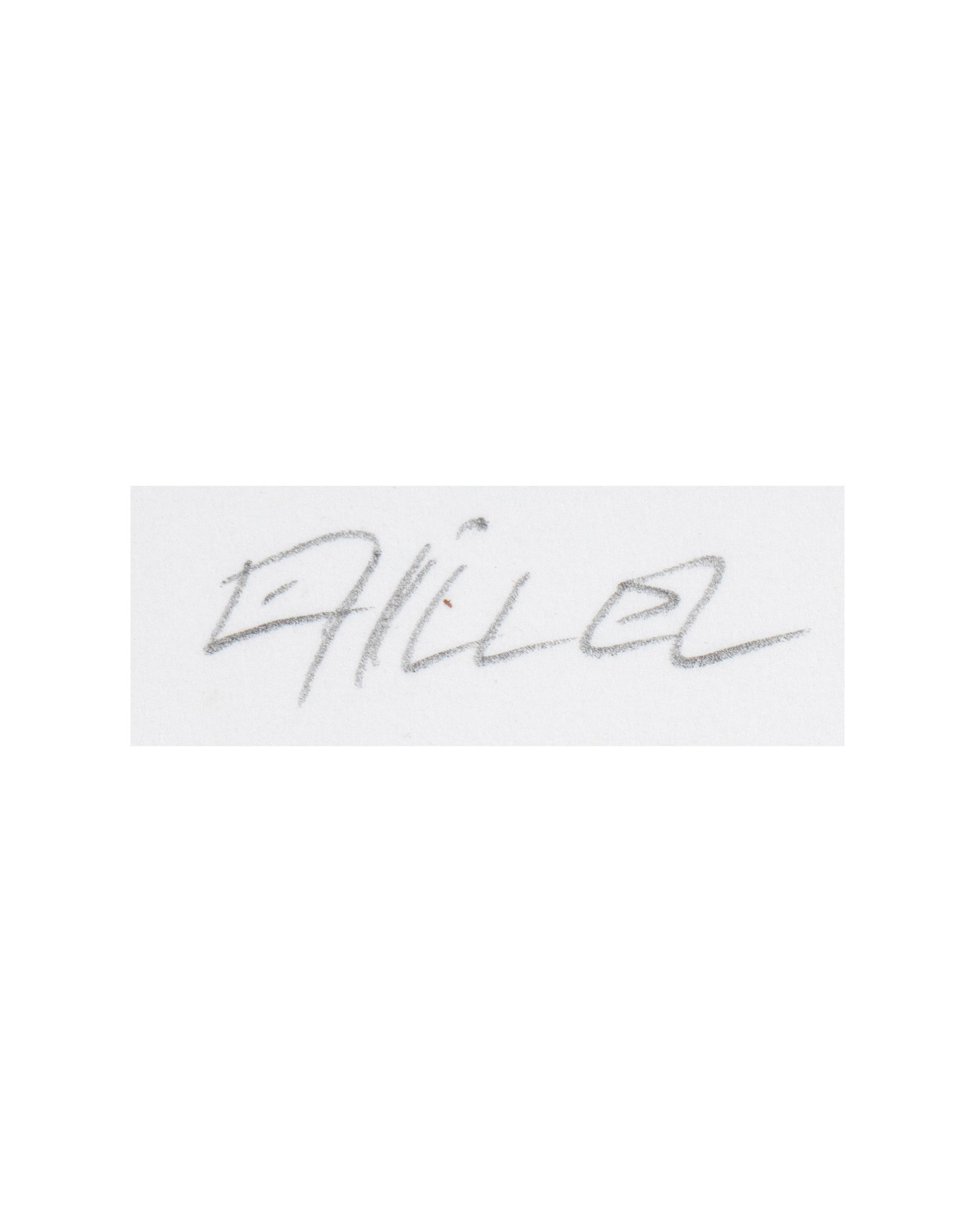 Hillel, Edward - Photograph - 2