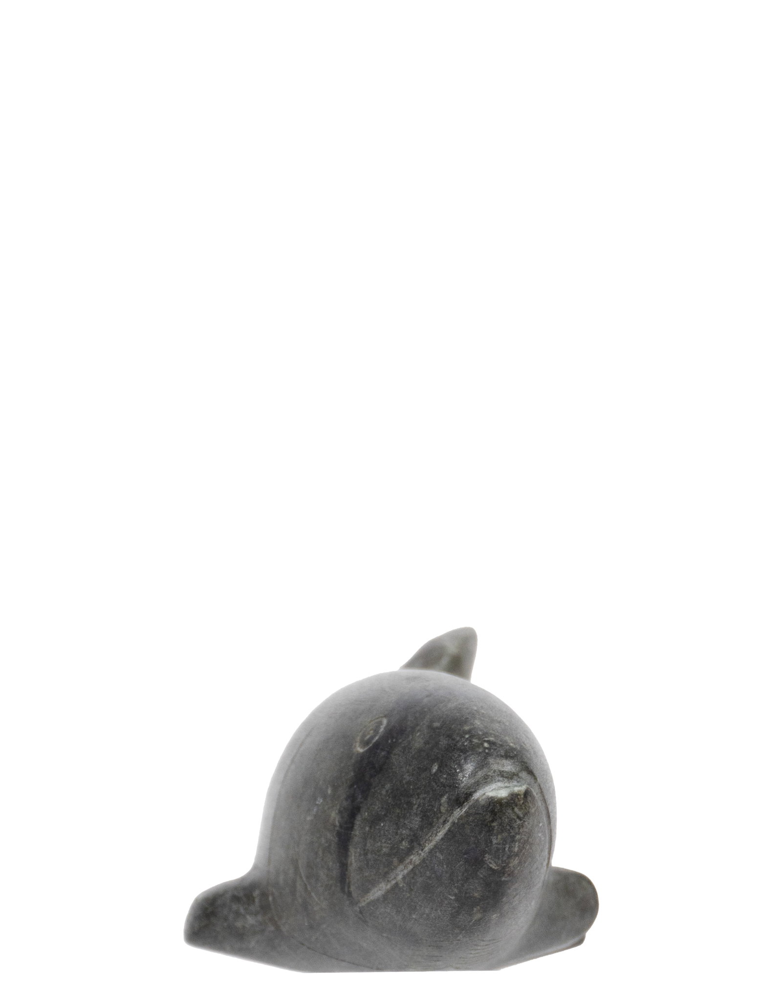 Aupaluktaq, Simonee - fish - 2