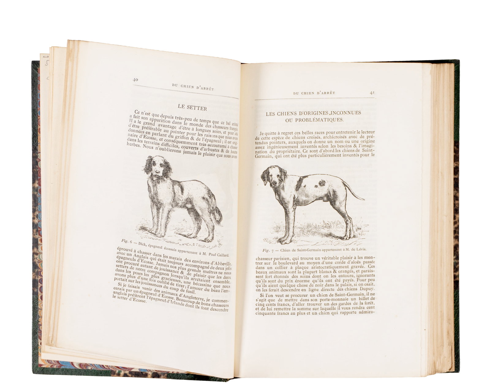 Nouveau traité des chasses à courre et à tir - 1869 - 2