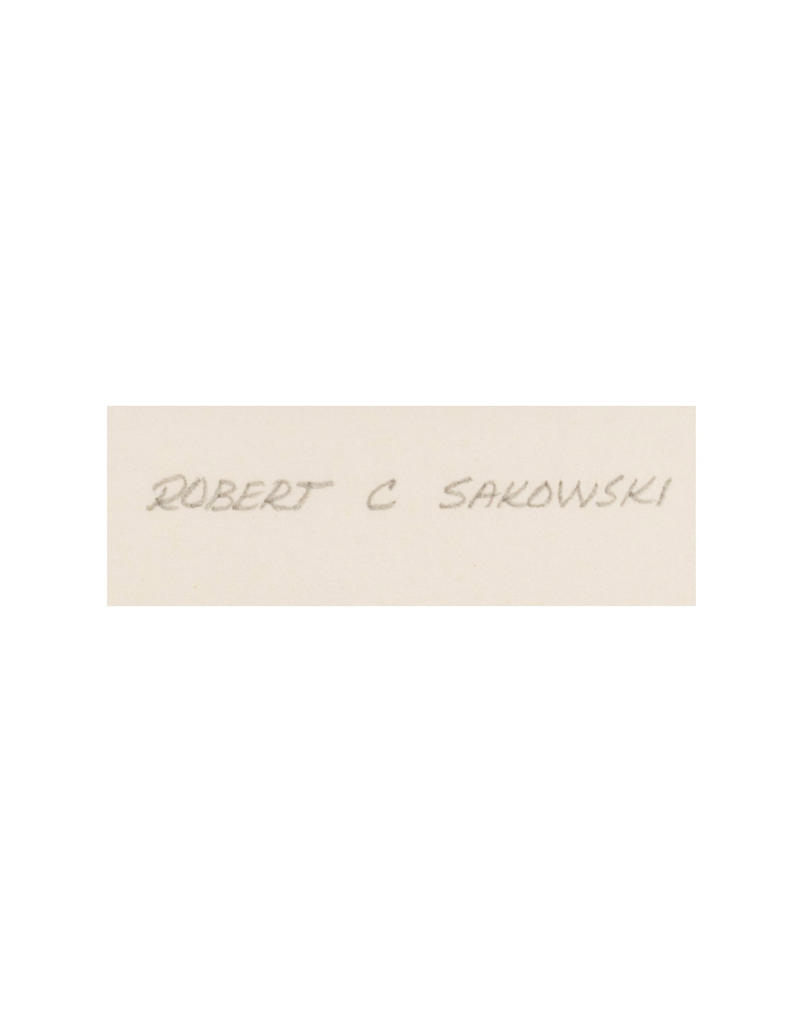 Sakowski, Robert C. - "Fall Series ABCDE" - 1976 - 2