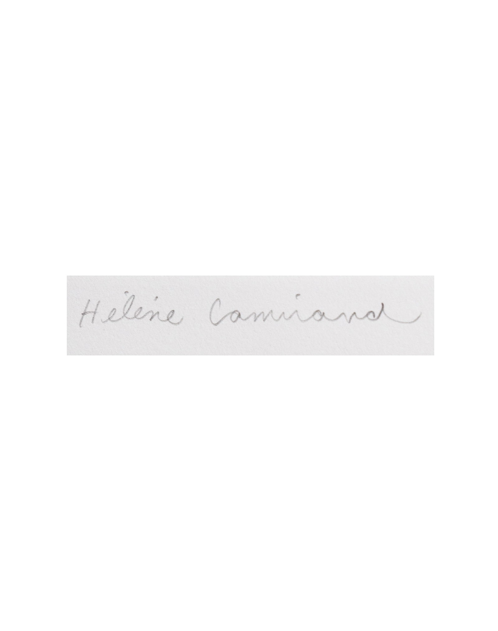 Camirand, Hélène - "Atavisme I" - 2013 - 2