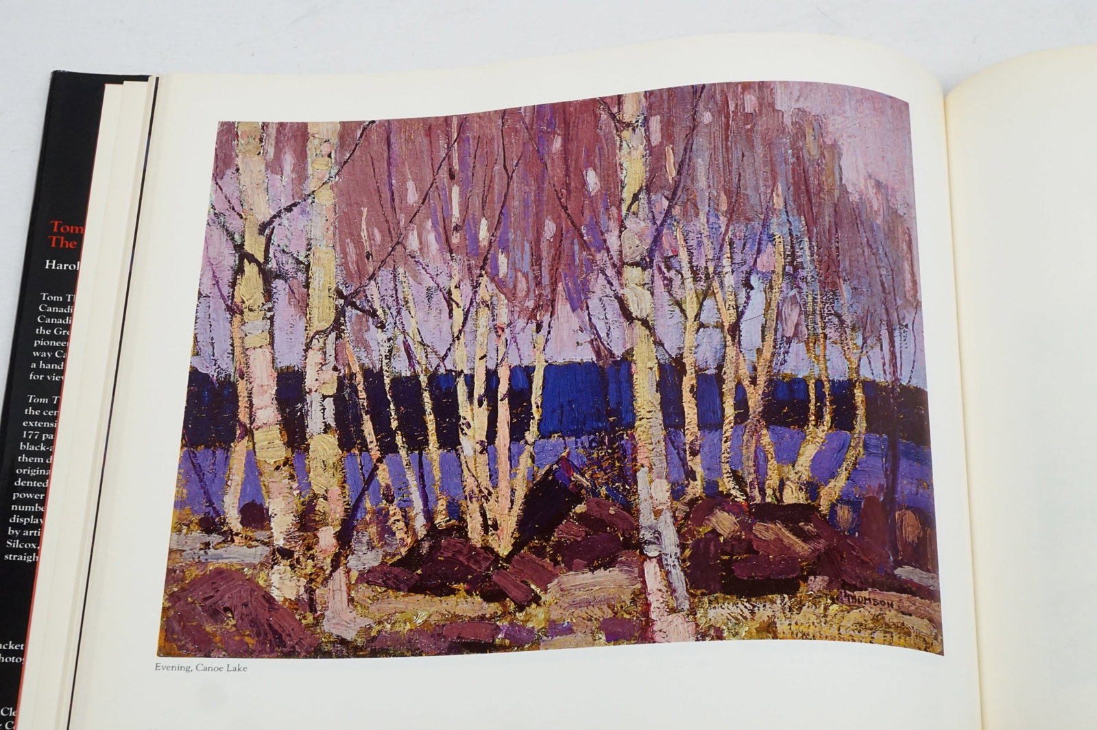 Tom Thomson - the silkence and the storm rare book signed - 3