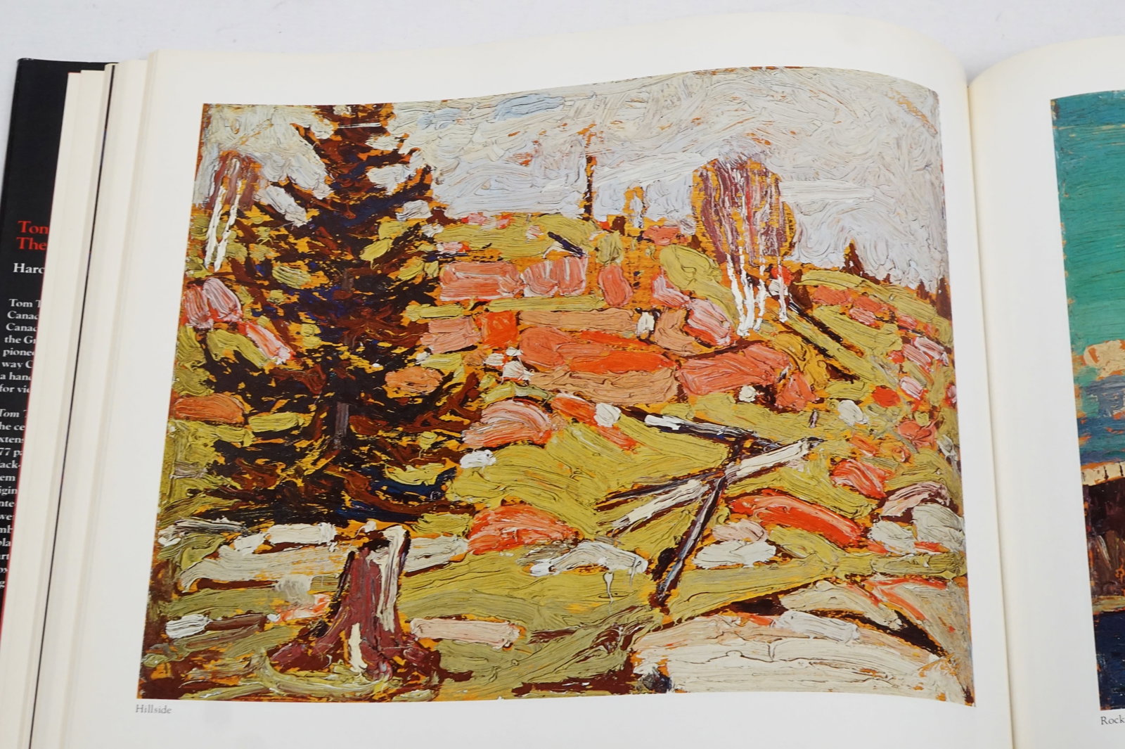Tom Thomson - the silkence and the storm rare book signed - 4