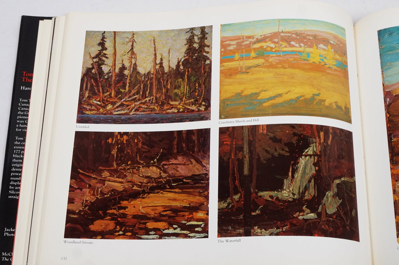 Tom Thomson - the silkence and the storm rare book signed - 5