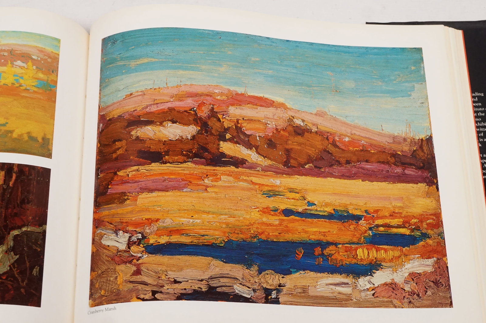 Tom Thomson - the silkence and the storm rare book signed - 6