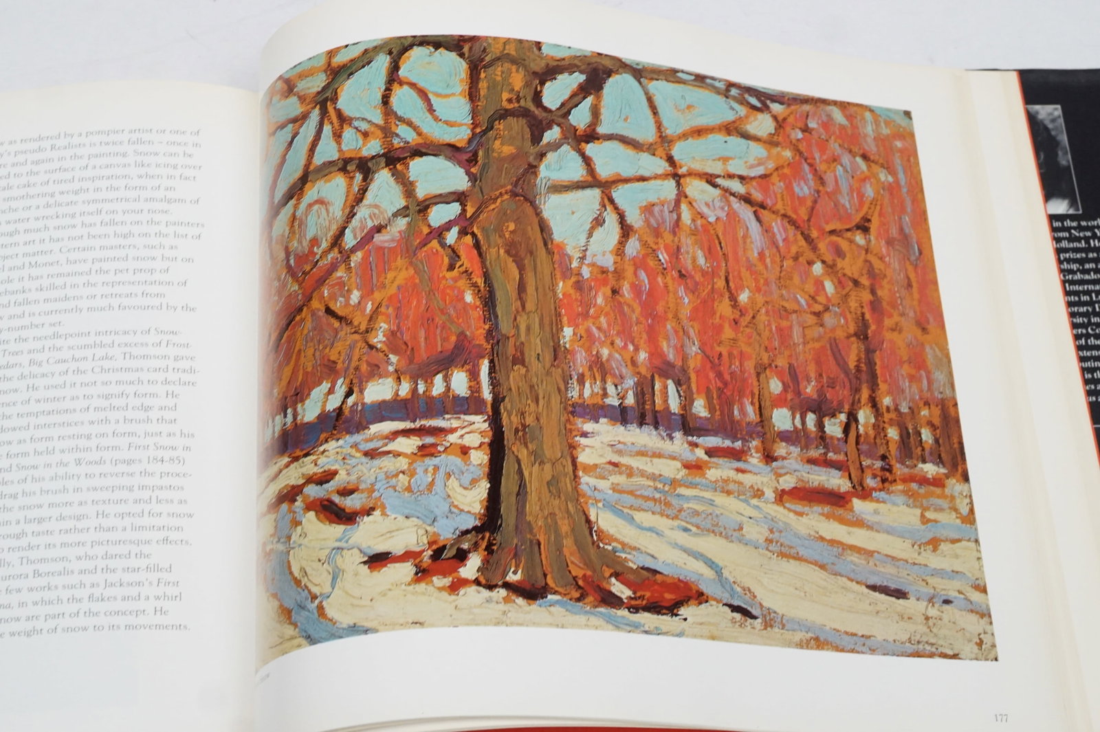 Tom Thomson - the silkence and the storm rare book signed - 8