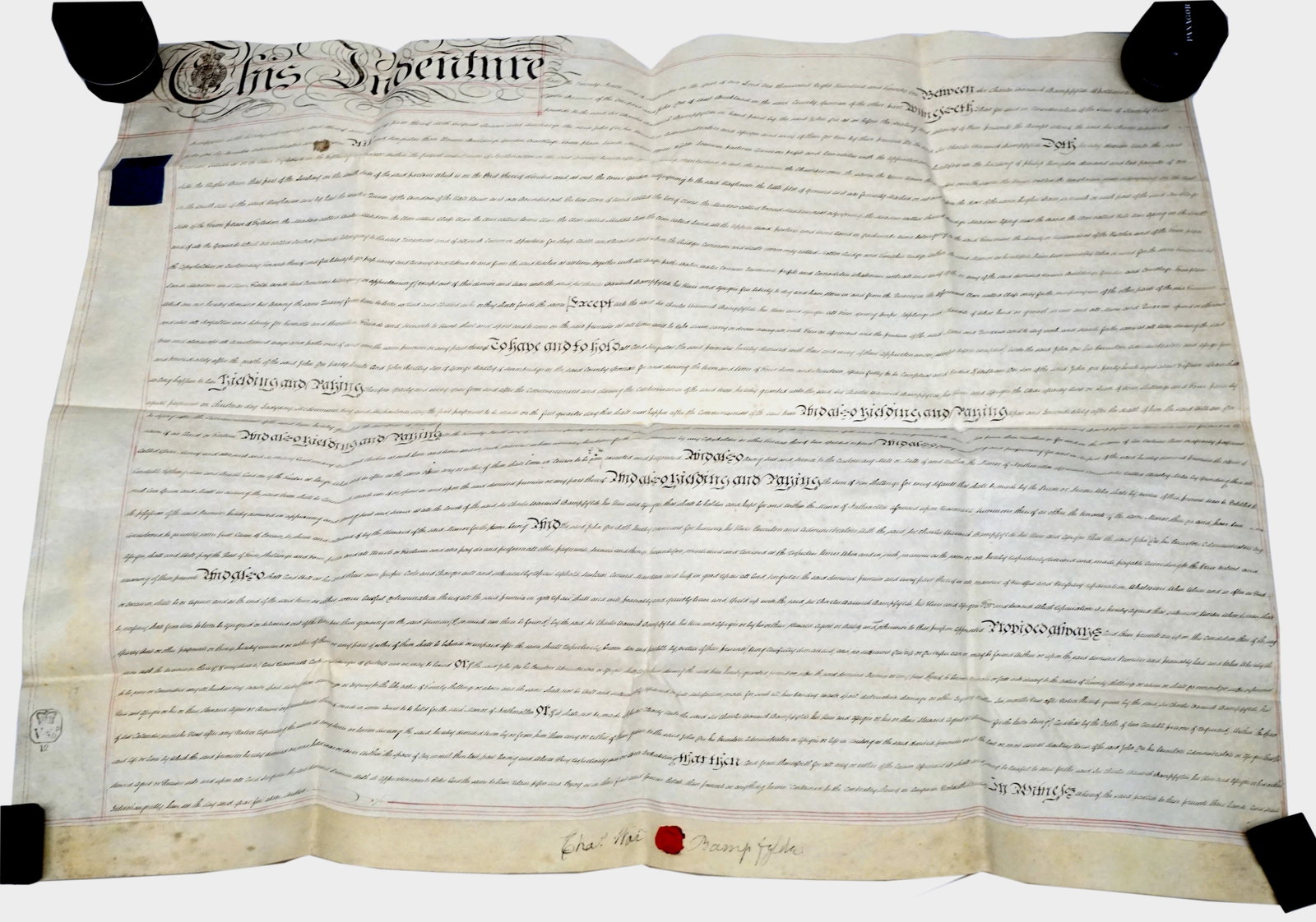 Antique vellum Document - 2