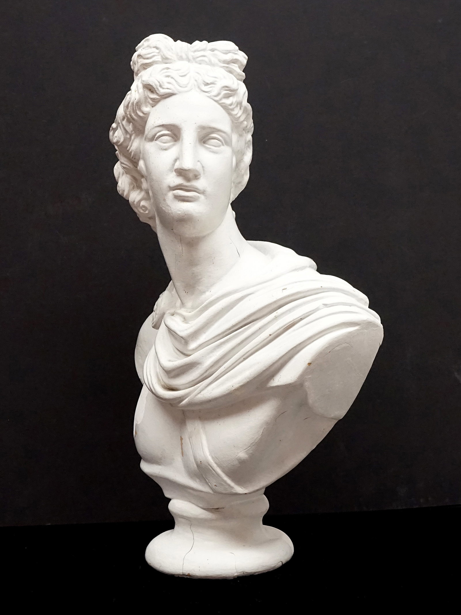 Napoleon bust - 2