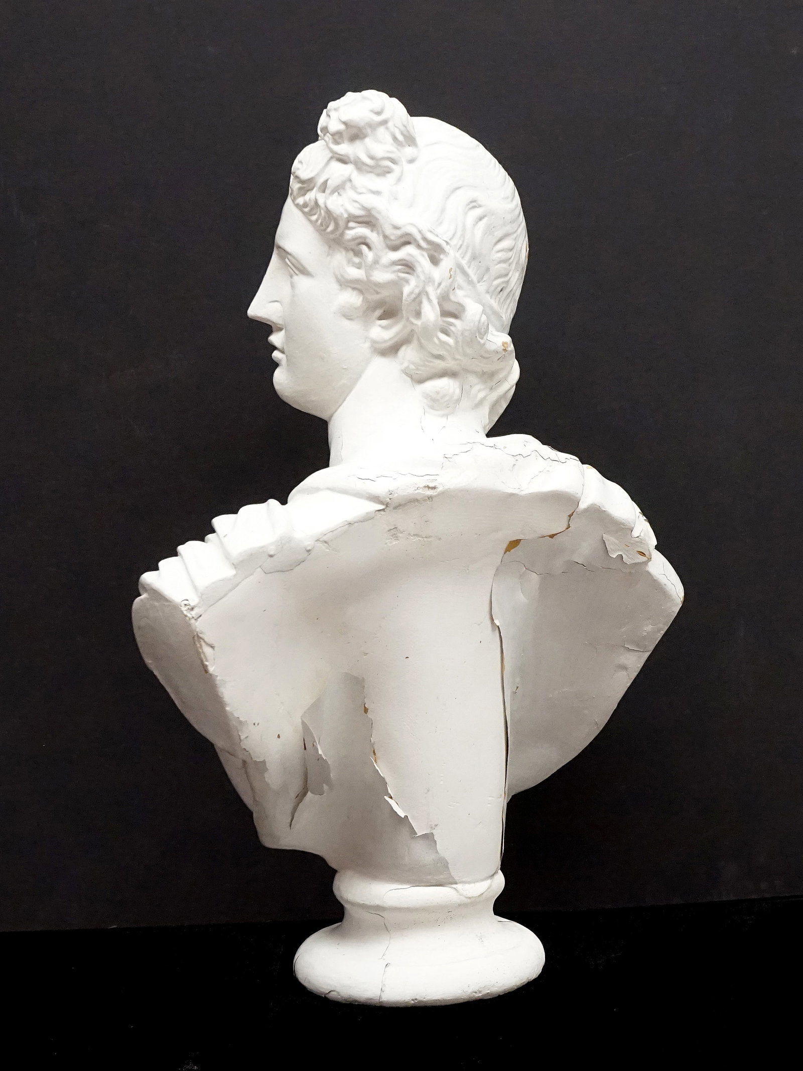 Napoleon bust - 3