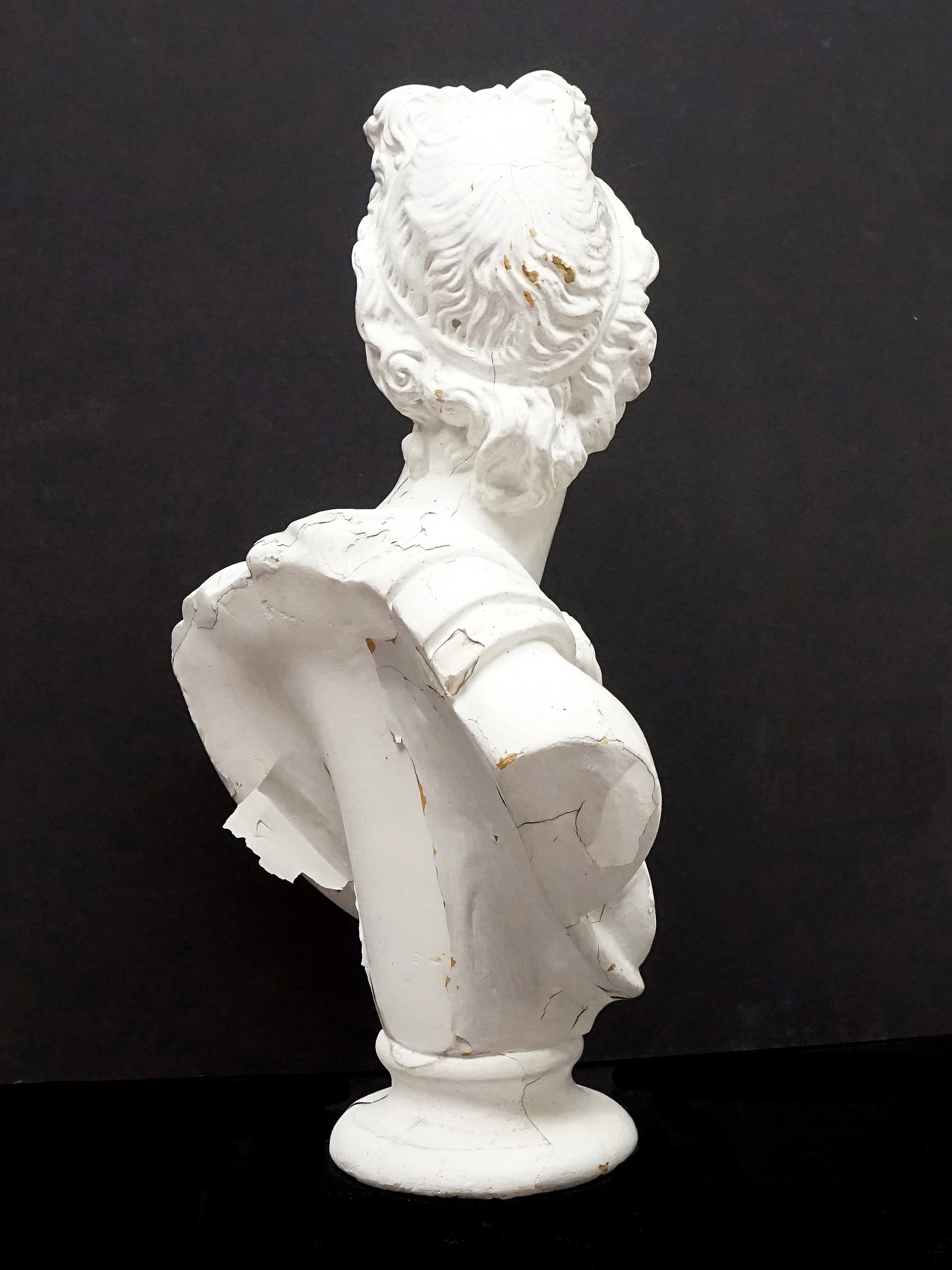Napoleon bust - 4
