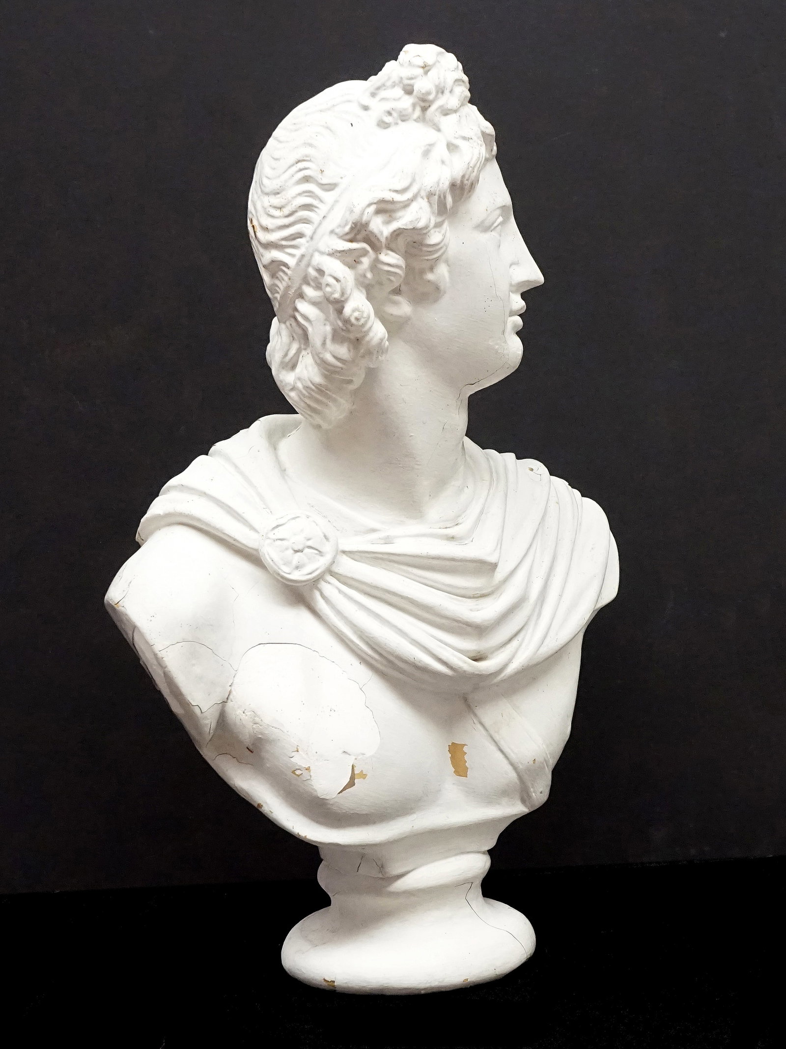 Napoleon bust - 5