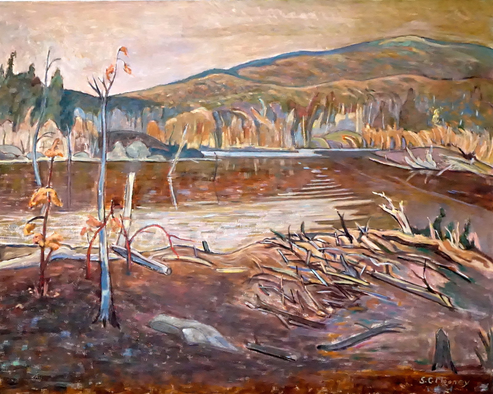Sidney Charles MOONEY - The old beaver pond - 2
