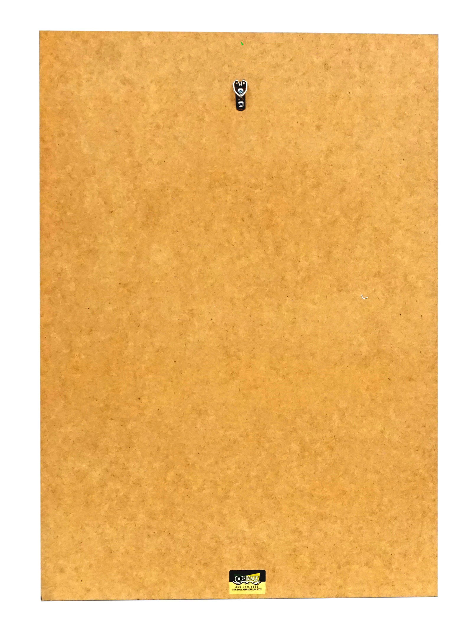 Joquin Phoenix - Laminated Poster - 2