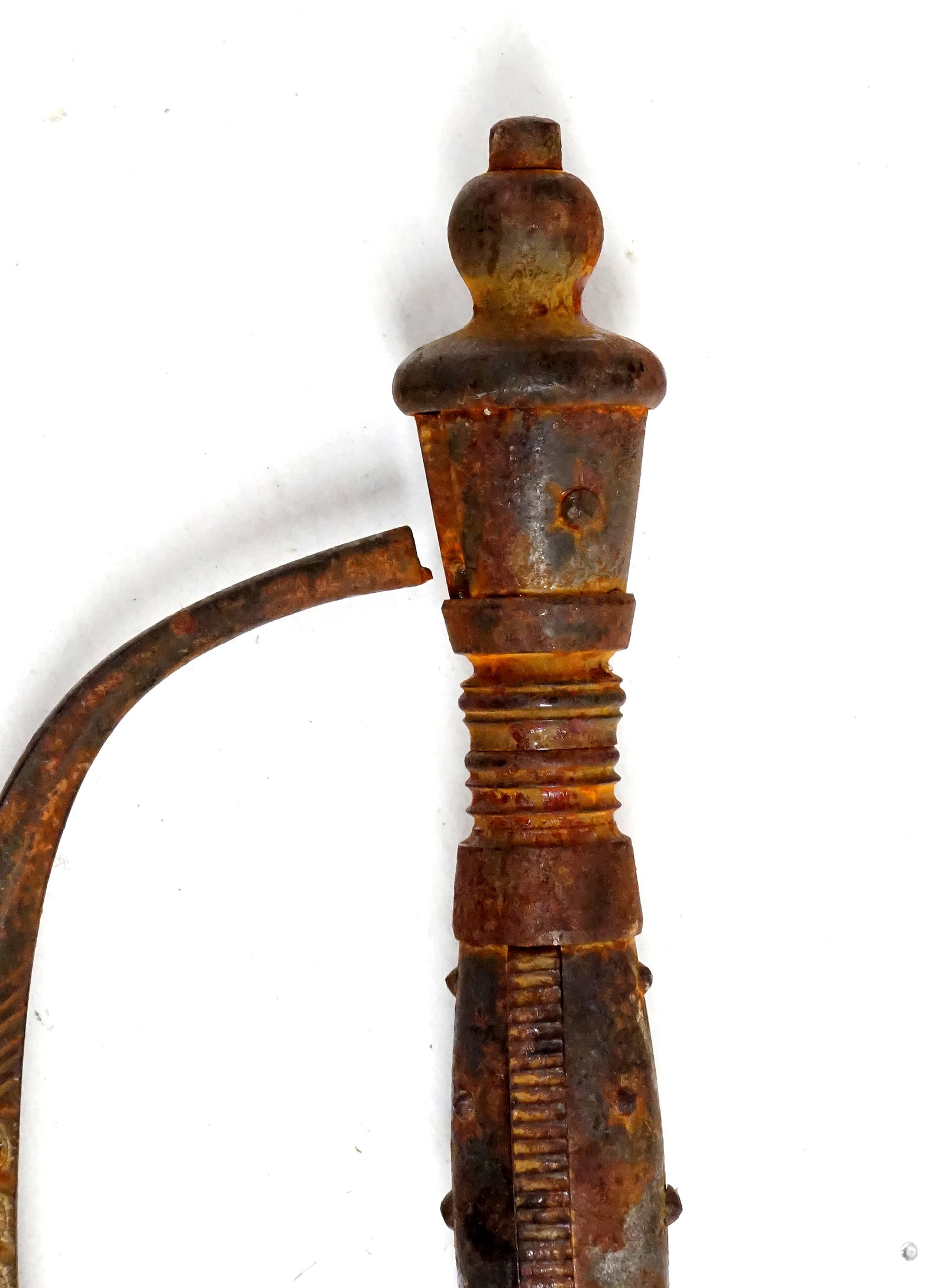 Court sword with a carved steel hilt, circa 1900 - 5