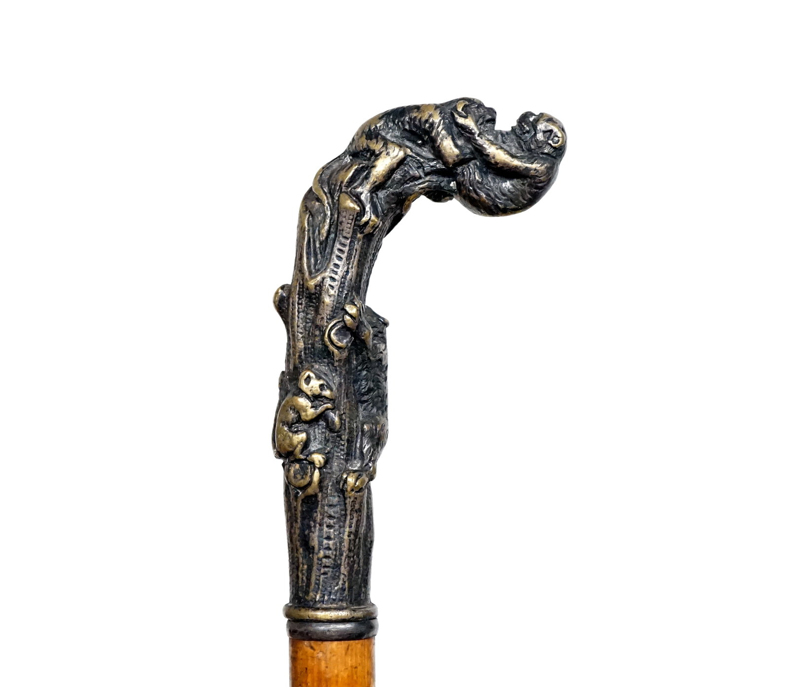 Collection canes - 3