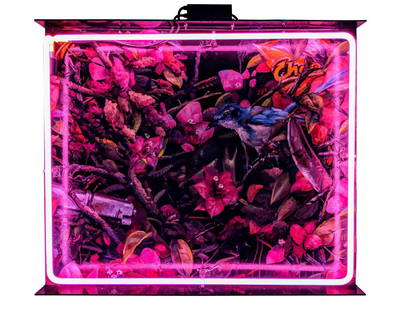 Patrick Martinez - Bougainvillea Stash Spot: Lot 5 Patrick Martinez American, (b 1980) Bougainvillea Stash Spot 2015) mixed media, plexiglass and neon 30 x 36 inches Condition: Excellent Provenance: