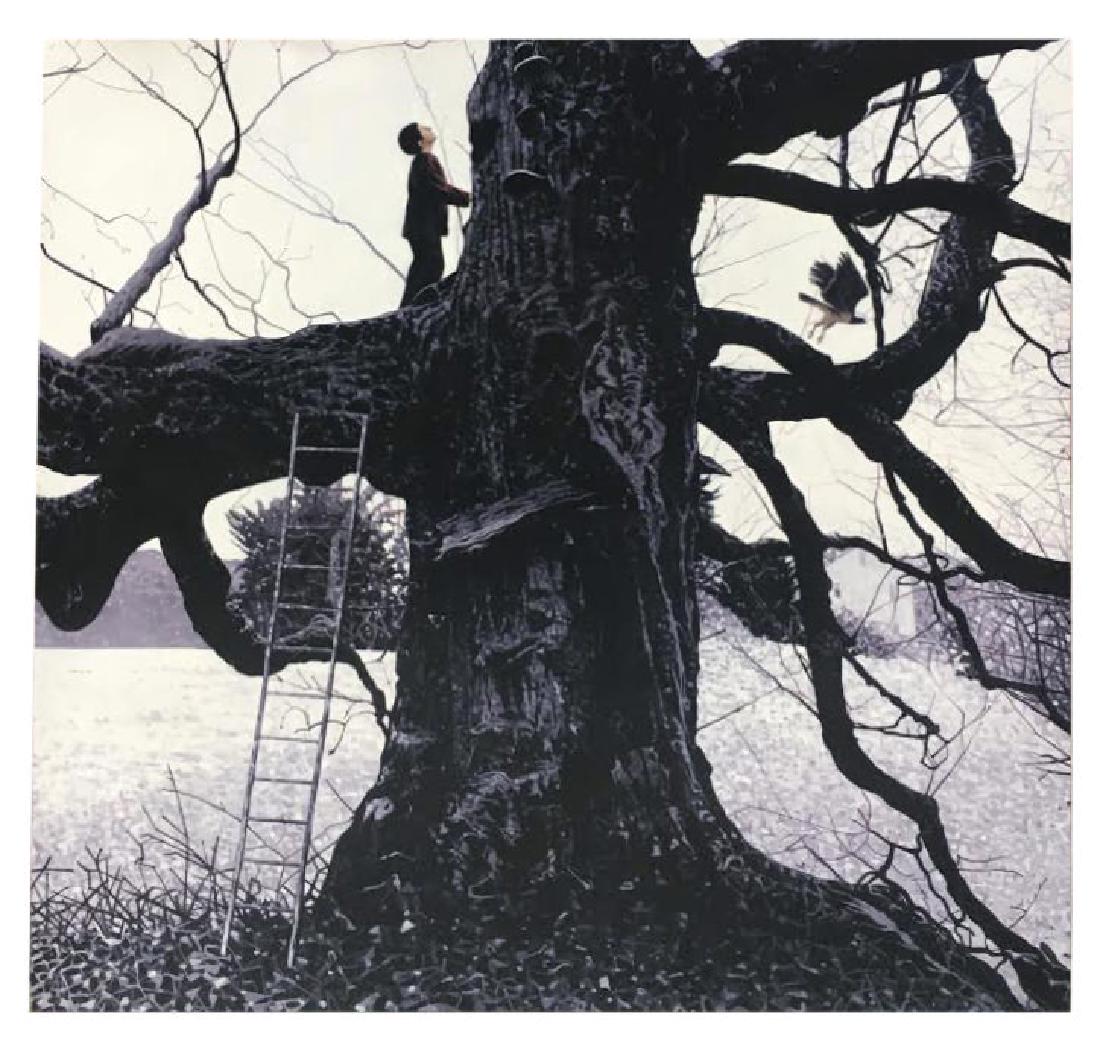 Christopher Mir - Sky Parade (1 of 3)