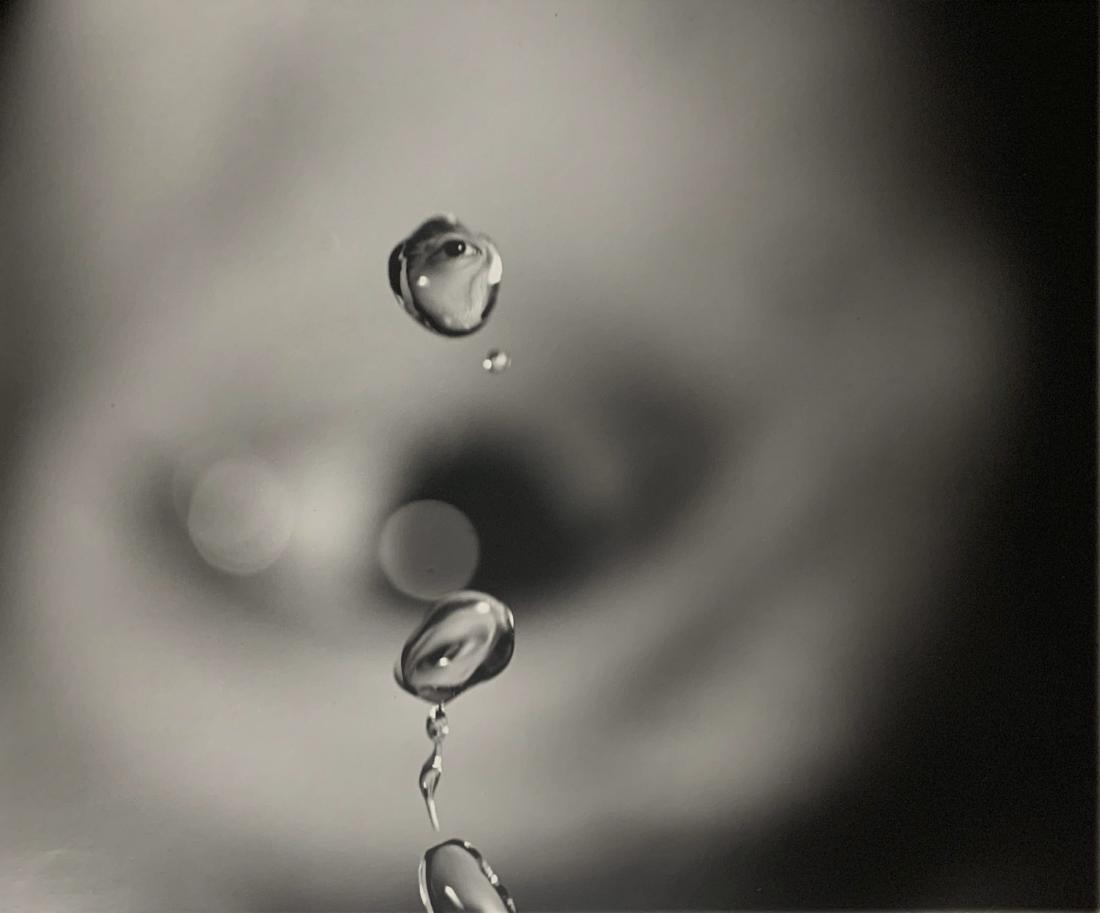 Susan Derges - Untitled (Eye ): Lot #38 Susan Derges British, (b. 1955) Untitled (Eye ) (1991) gelatin silver print signed verso lower right numbered 29/100 image: 14 x 11 1/2 inches sheet: 17 x 14 inches Condition: