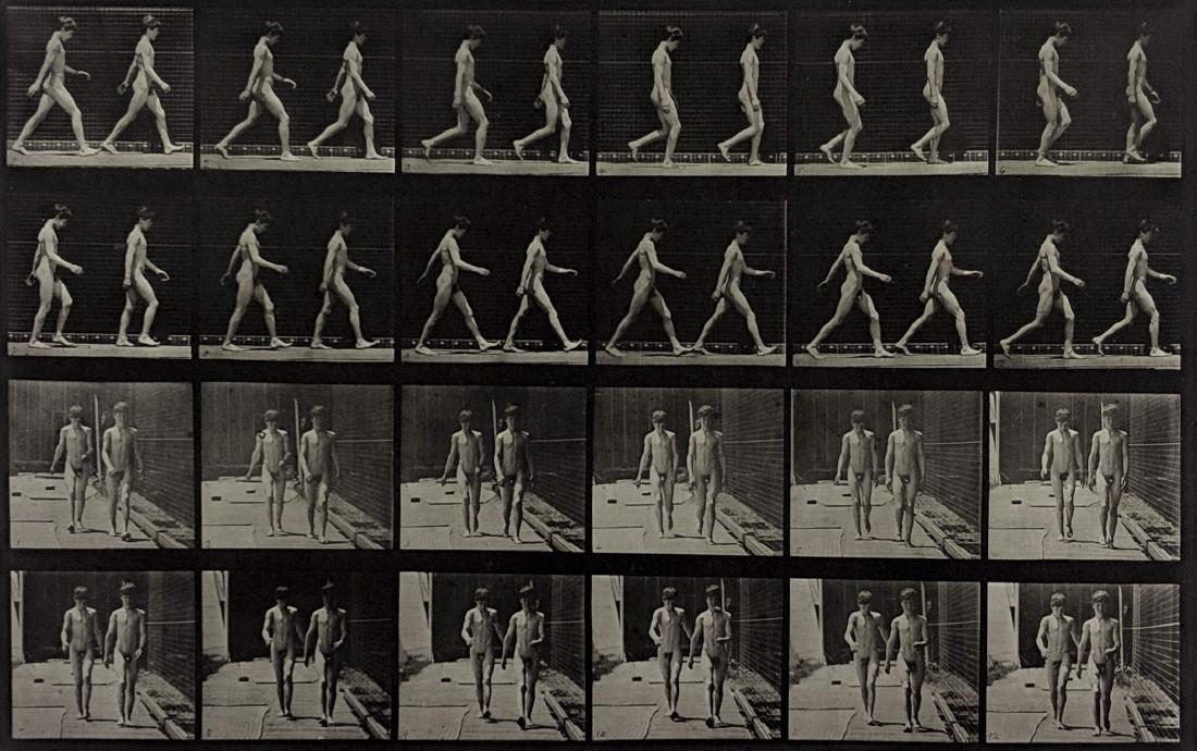 Eadweard Muybridge - Animal Locomotion - Plate 12: Lot #91 Eadweard Muybridge American, (1830-1904) Animal Locomotion - Plate 12 (1887) collotype image: 13 3/4 x 19 1/2 inches sheet: 18 1/2 x 23 3/4 inches Condition: Very Good FOR ACC