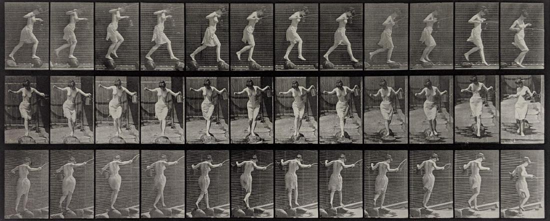 Eadweard Muybridge - Animal Locomotion: Plate 175: Lot #92 Eadweard Muybridge American, (1830-1904) Animal Locomotion: Plate 175 (Skipping Stones) (1887) collotype image: 13 7/16 x 19 1/2 inches sheet: 18 1/2 x 23 3/4 inches Condition: Very Go