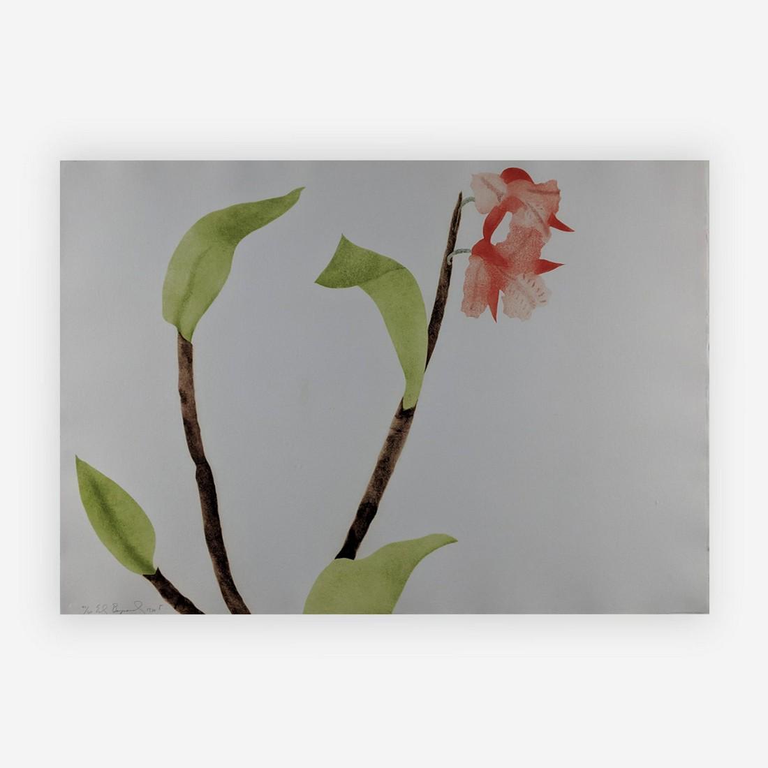 Ed Baynard - Vermillion Clair Orchid: Lot 112 Ed Baynard American (b.1940 ) Vermillion Clair Orchid (1980) aquatint and watercolor on arches paper signed lower left, numbered 40/60 sheet: 29 x 41 3/4 inches frame: 37 x 49 1/4 inches Prove