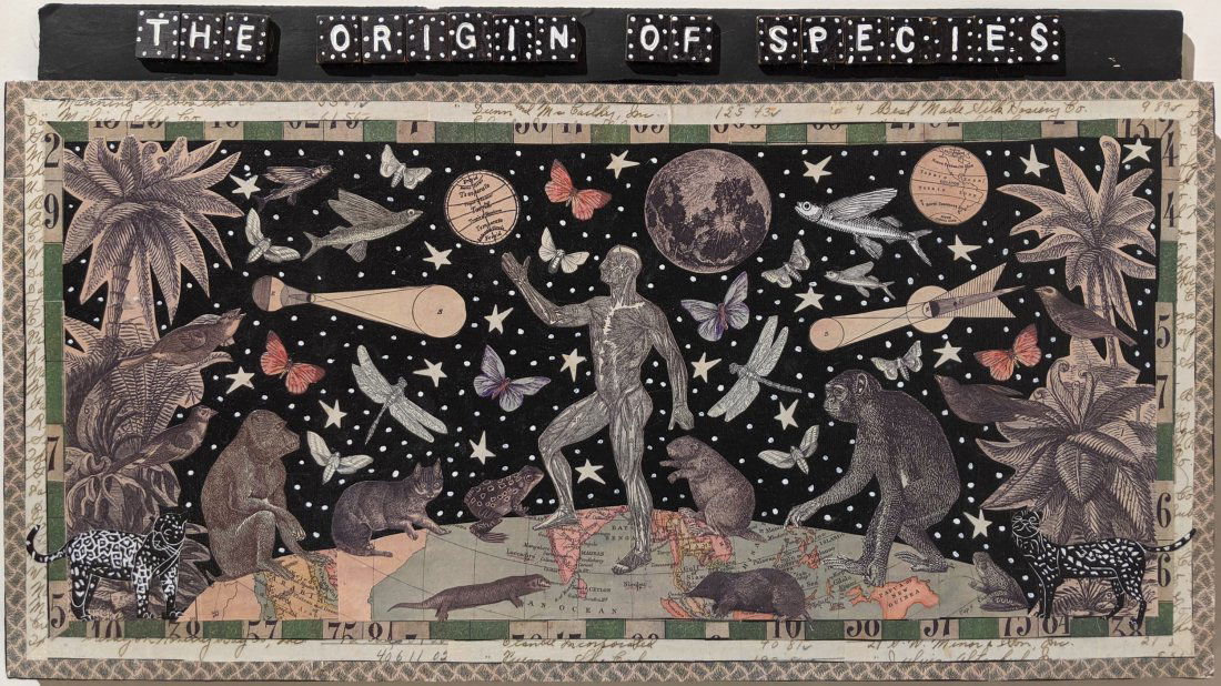 Mary Cooper - Origin of Species: Lot 57 Origin of Species mixed media; scrabble tiles, collage, paint signed verso 11 1/2 x 20 inches Provenance: From a Private Pennsylvania Collection