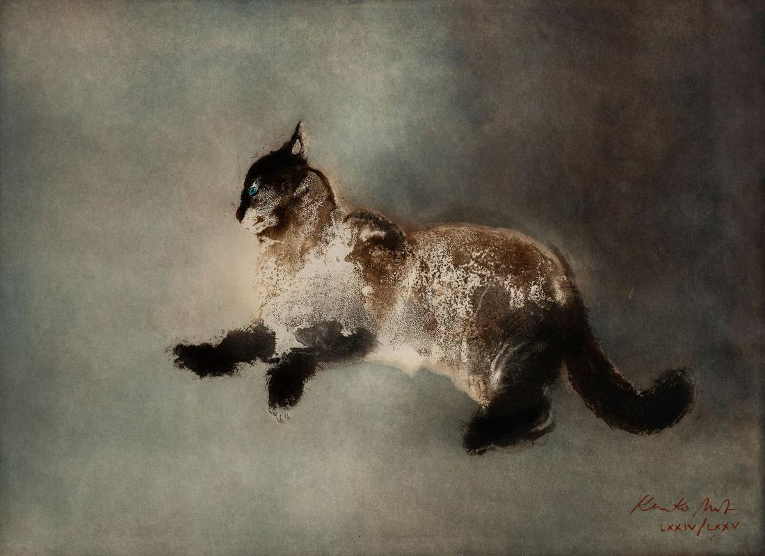 Kaiko Moti - Cat: Lot 144 Kaiko Moti Indian (1921 - 1989) Cat etching with aquatint signed lower right, numbered LXXIV/ LXXV 22 x 30 inches