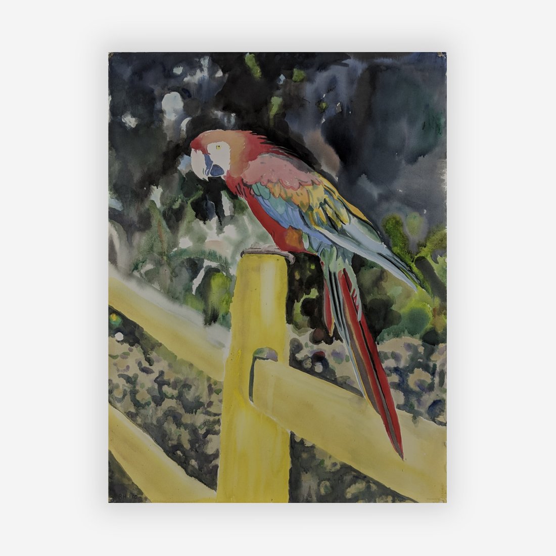 Roger Howrigan - Parrot: Lot 112.1 Roger Howrigan American (20th century) Parrot (1980) watercolor initialed lower right sheet: 29 1/2 x 22 1/4 inches frame: 40 x 32 1/4 inches Provenance: The Milbank Collection acquired