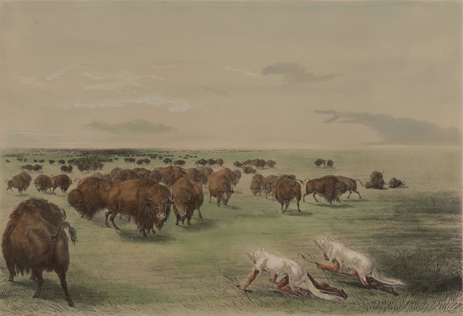 George Catlin - Buffalo Hunt Under the White Wolf skin (1 of 2)