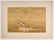 Various Artists - Group, four (4) Wildlife scenes - 8