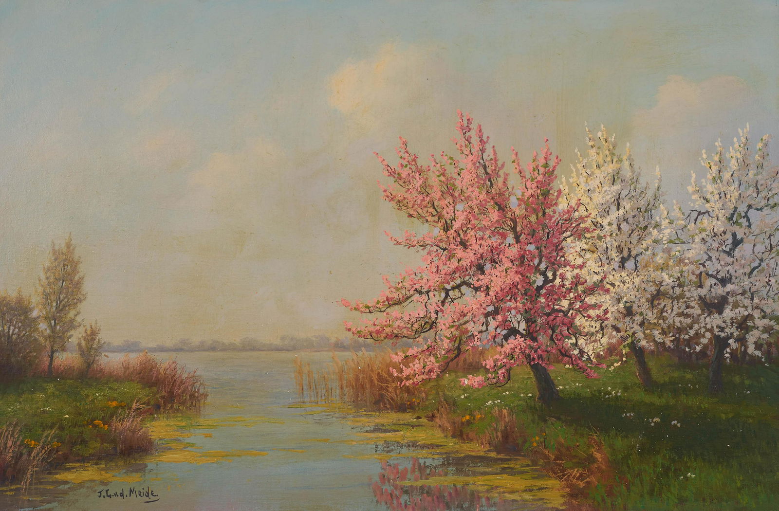 J.L. van der Meide - Blossom Trees: Lot 222 J.L. van der Meide Dutch (1910-1987) Blossom Trees oil on canvas (unstretched) signed lower left 26 1/8 x 38 1/8 inches Provenance: From the collection of a fourth-generation New York art ga