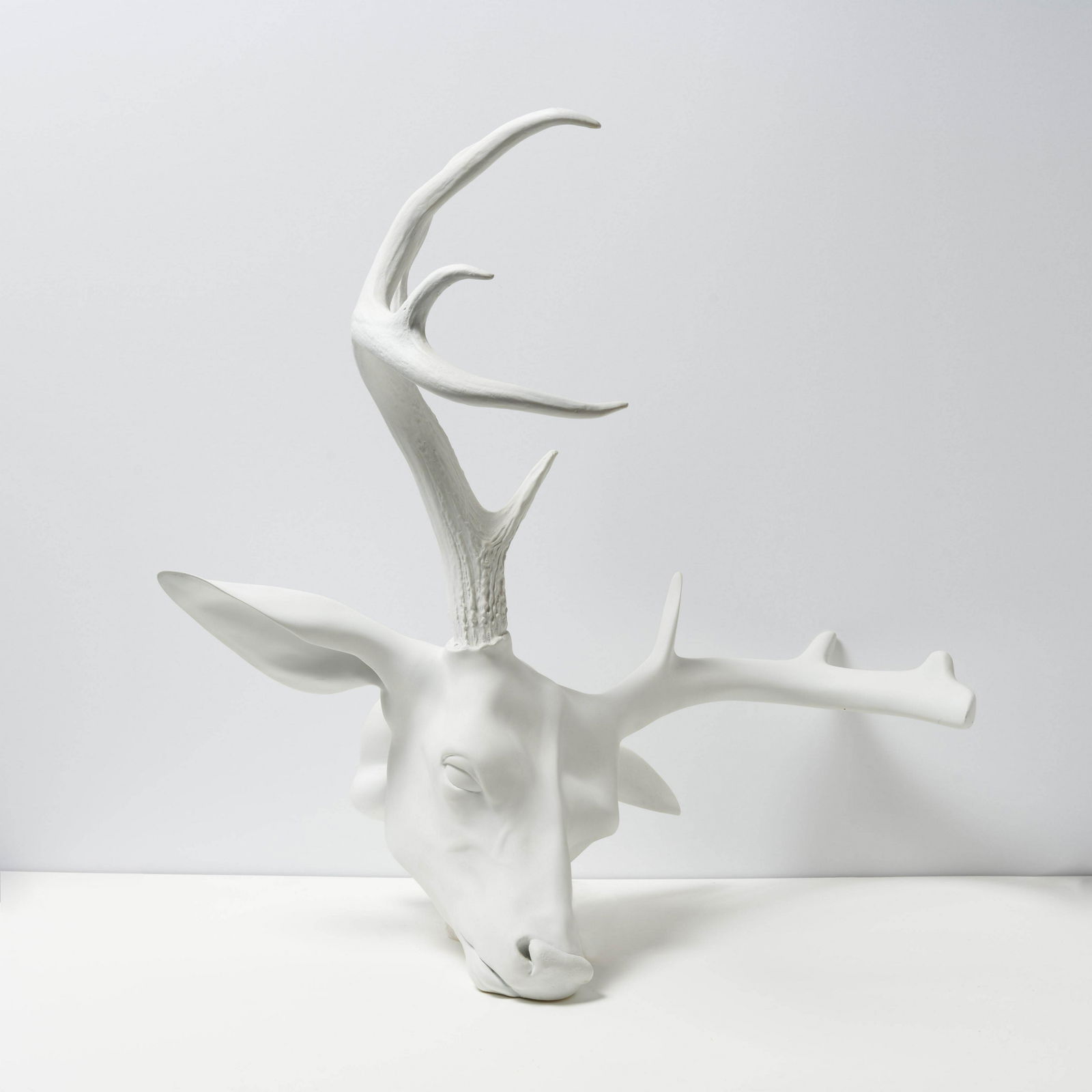 Erick Swenson - Untitled (Antlers) (1 of 8)