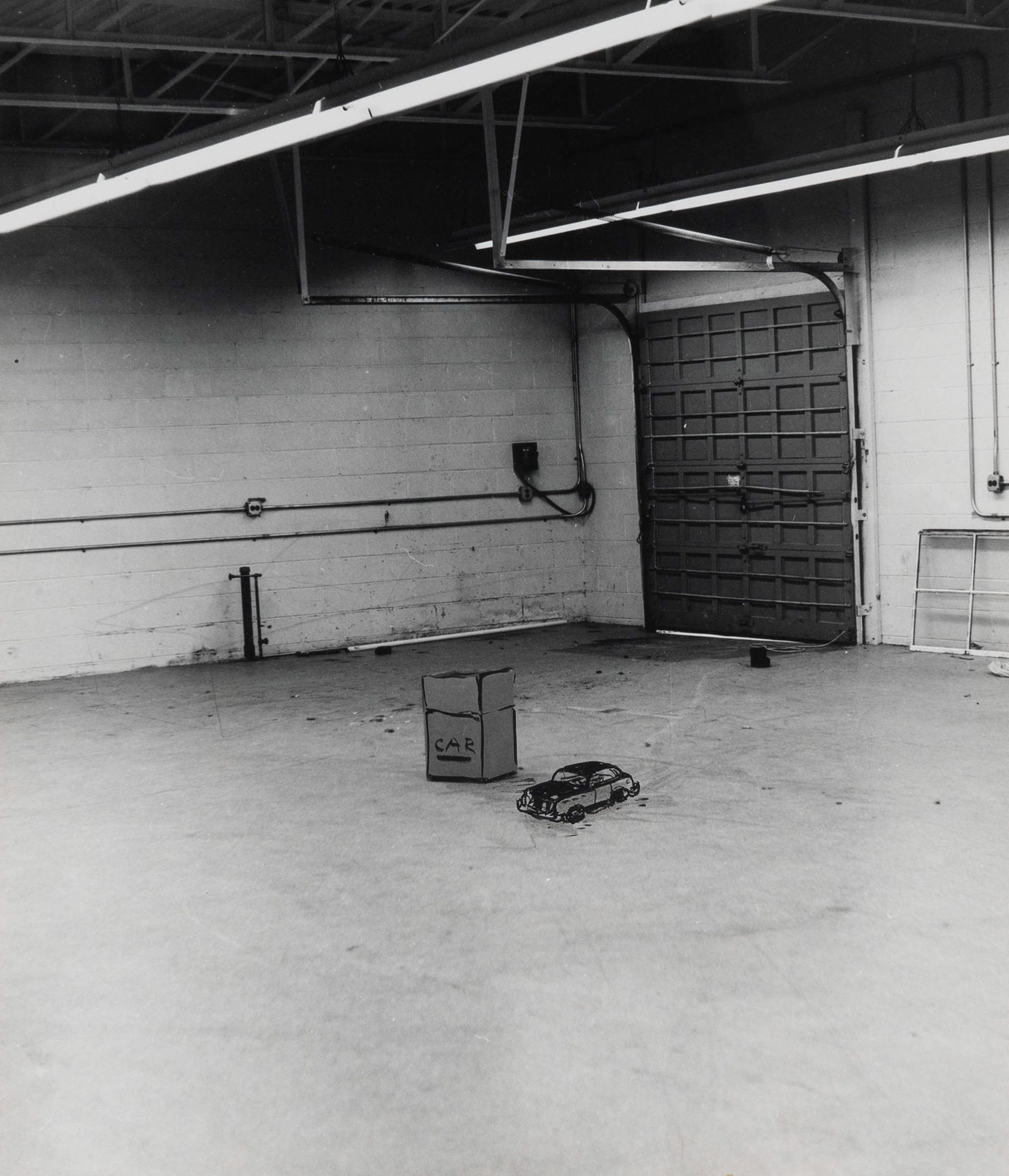 William Wegman - Small Car/Box (1 of 3)