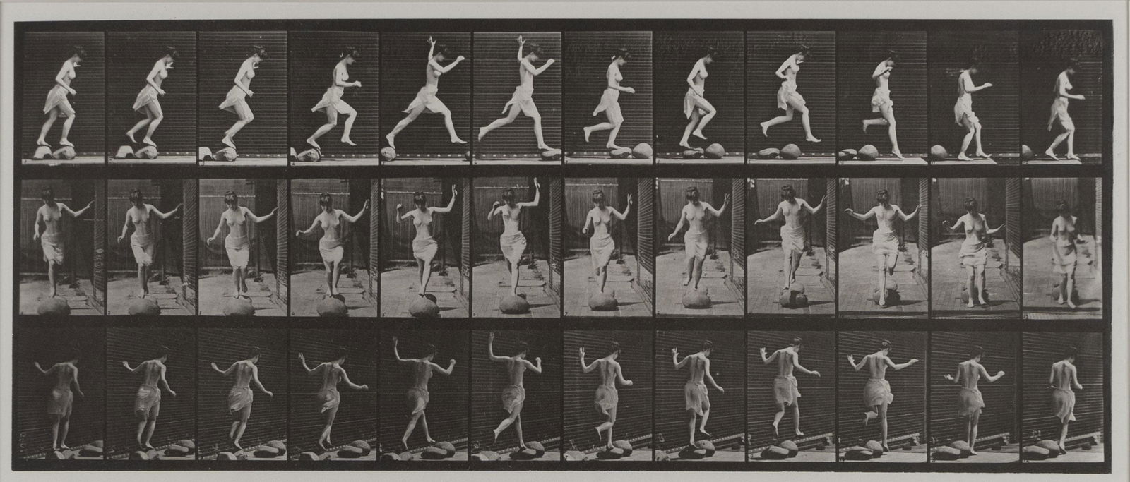 Eadweard Muybridge - Animal Locomotion: Plate 170 (1 of 4)