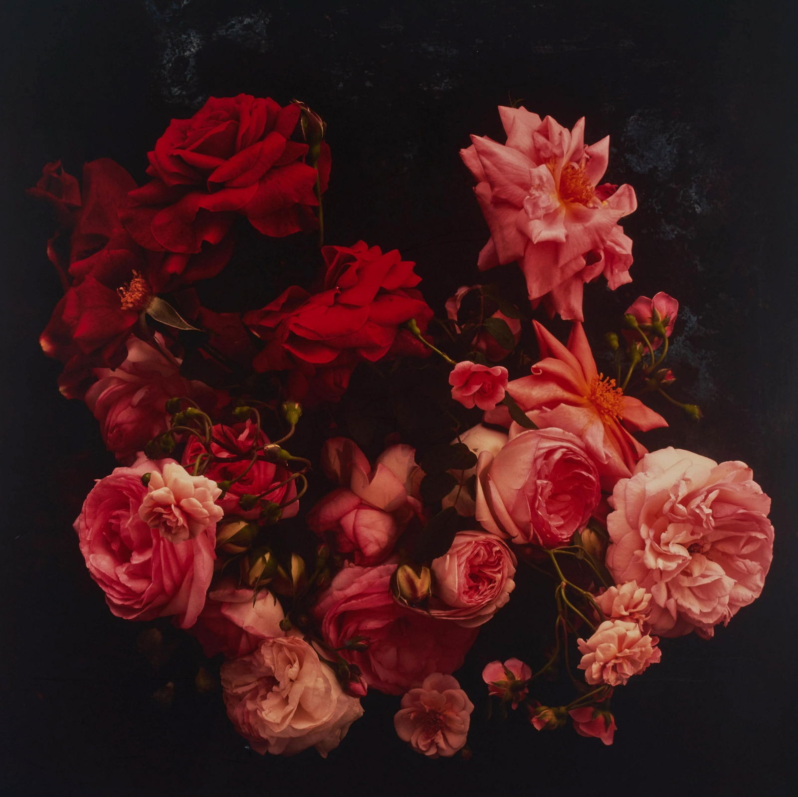 Antonio Girbes - Untitled #129 (1 of 5)