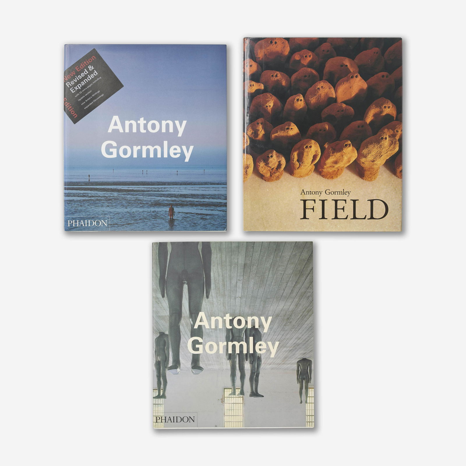 Group of three Antony Gormley books (1 of 8)