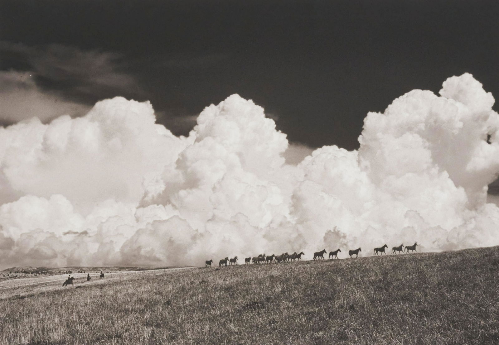 Barbara Van Cleve - Brewing Storm (1 of 5)