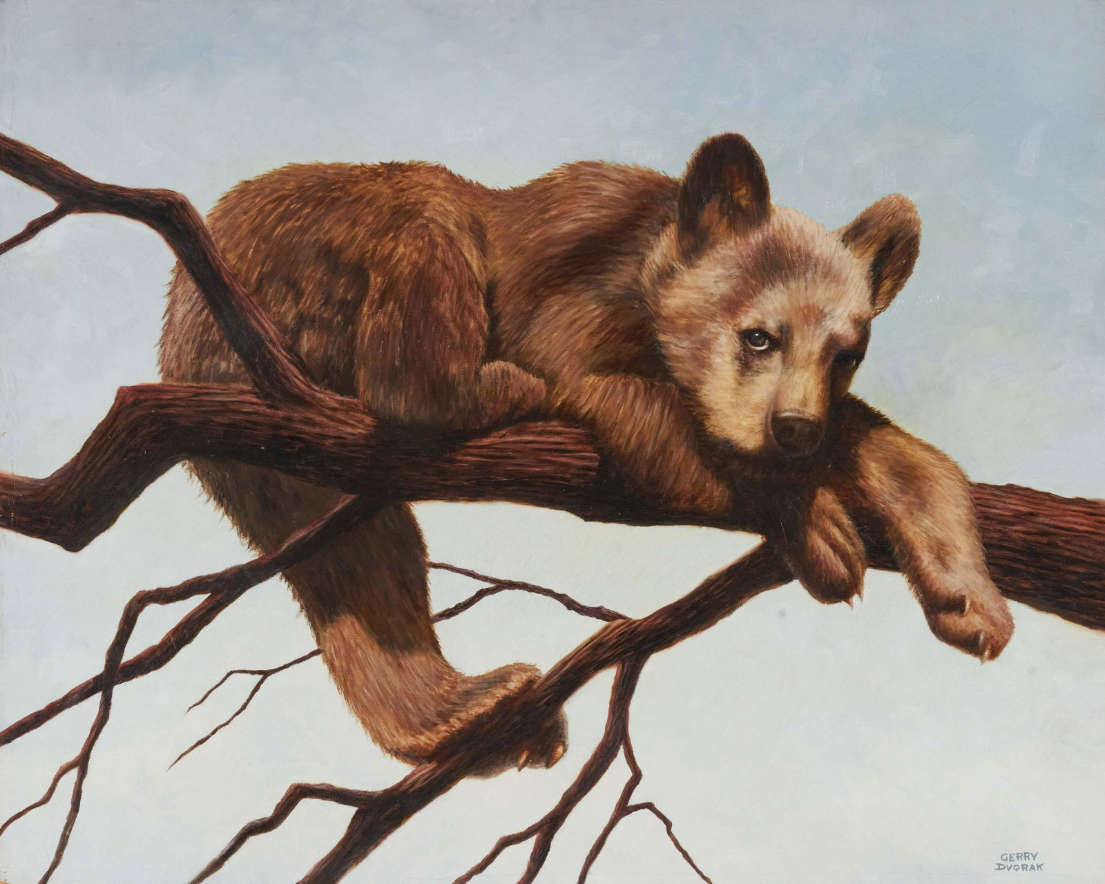Gerry Dvorak - Brown Bear Cub (1 of 4)