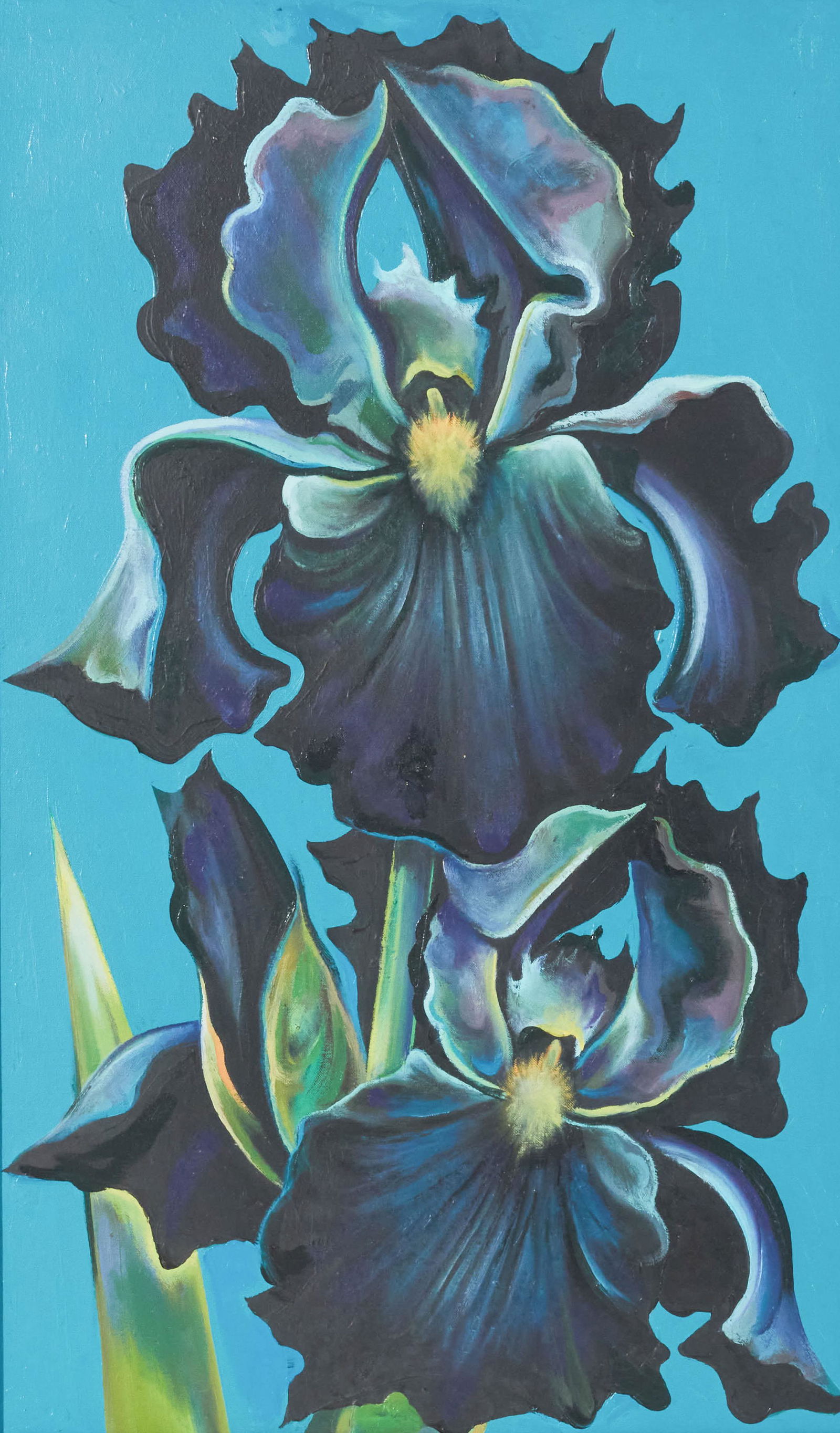 Lowell Nesbitt - Two Black Iris (1 of 4)
