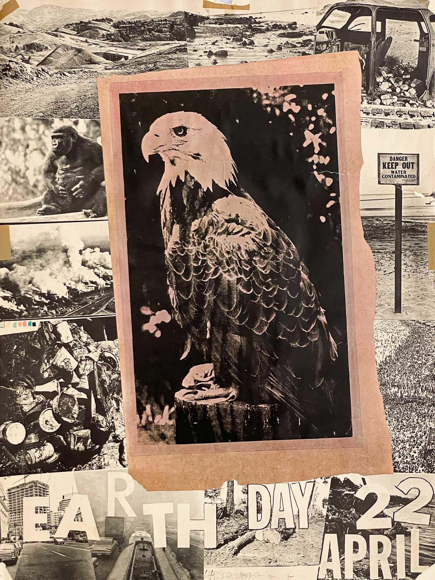 Robert Rauschenberg - Earth Day (1 of 5)