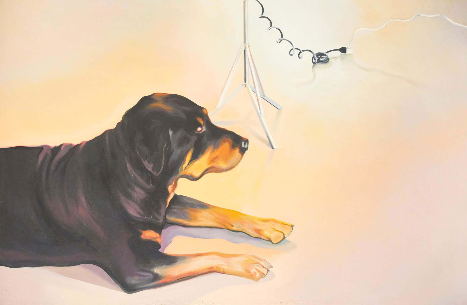 Lowell Nesbitt - Echo I (Rottweiler) (1 of 9)