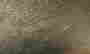 item-107890463=6