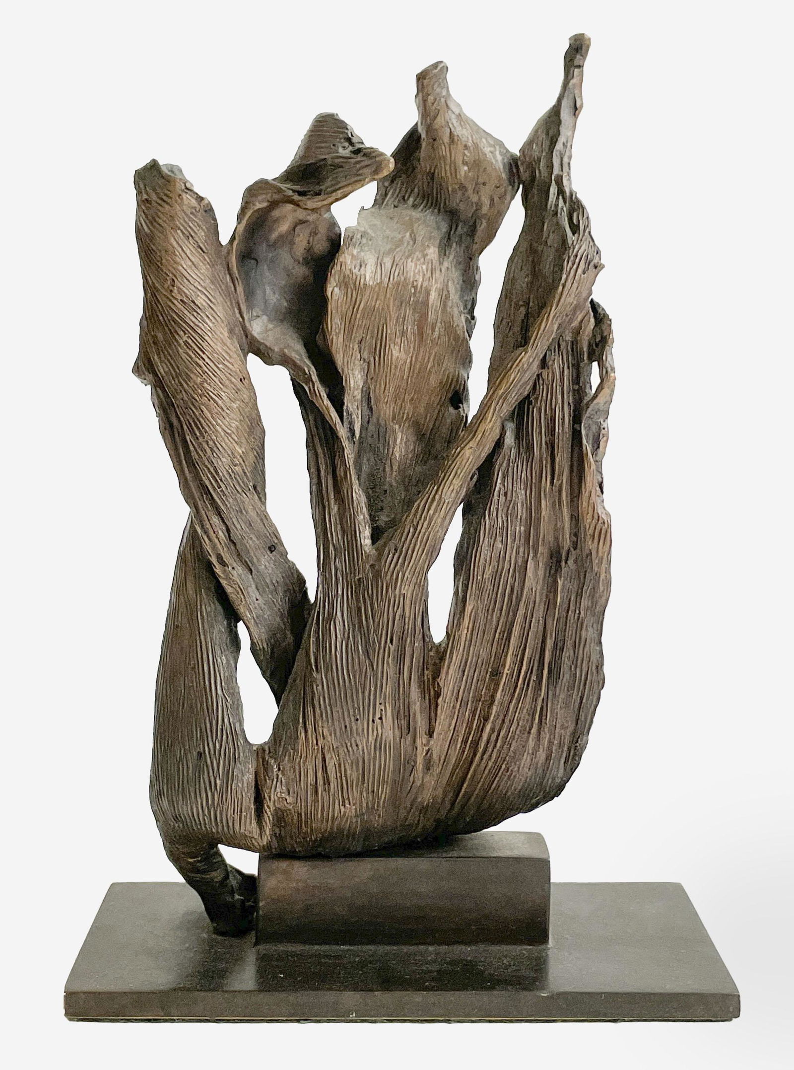 Seena Donneson - Leaves (1 of 4)